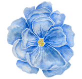 Blue flower